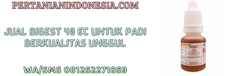 jual,murah,terjangkau,toko pertanian terdekat,pertanian indonesia